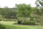 Glenislaresidential-landscaping-40.jpg; ?>
